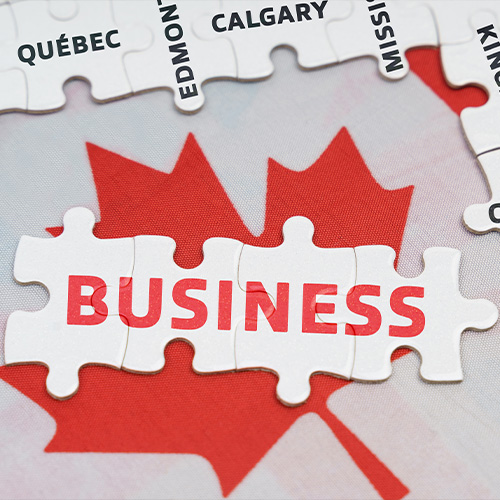 A puzzle piece with the word "business" written on it, next to a Canadian flag